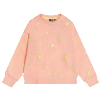 Tumble 'n Dry Tumble 'n Dry sweatshirt Limoni apricot blush
