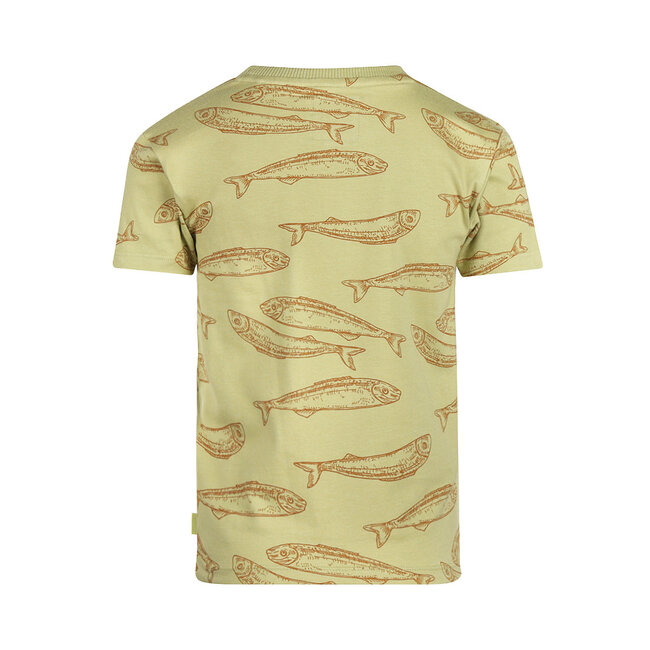 Koko Noko t-shirt faded green