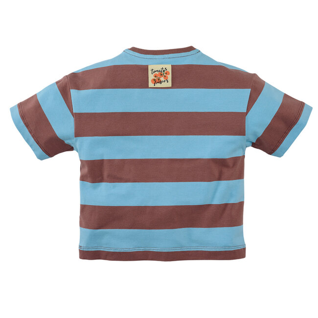 Z8 mini shirt Zeyd blush brown / surfing blue