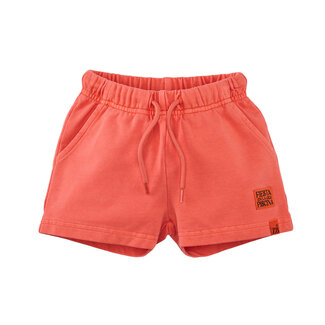 Z8 mini Z8 mini shorts Tony sizzling orange