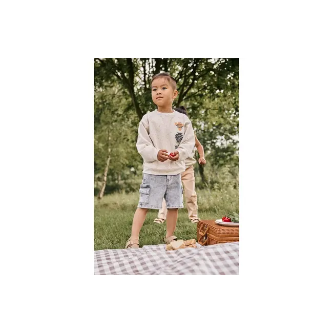 Daily7 denim cargo shorts grey denim