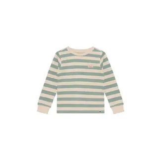Daily7 Daily7 t-shirt longsleeve stripe green milieu