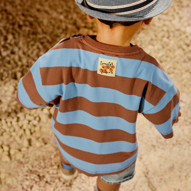 Z8 mini shirt Zeyd blush brown / surfing blue