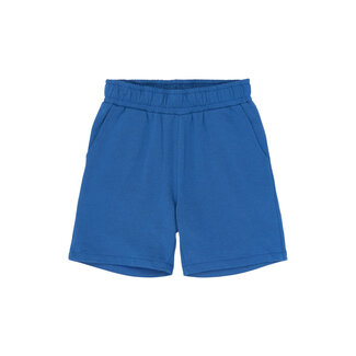 The New The New shorts Rasmus true blue