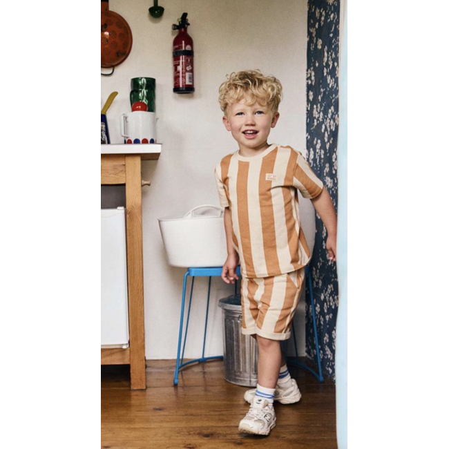 Daily7 t-shirt big stripe sandstone