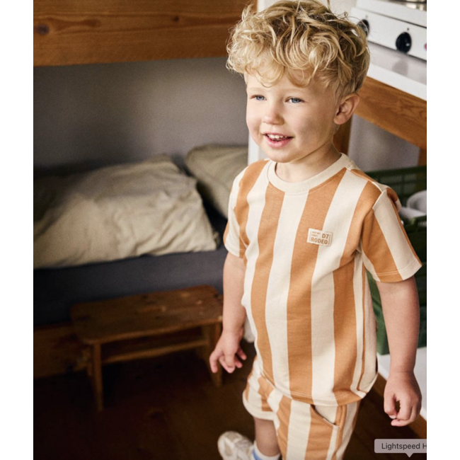 Daily7 t-shirt big stripe sandstone