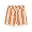 Daily7 shorts big stripe sandstone