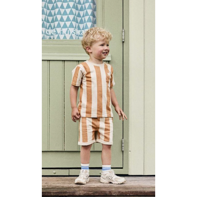 Daily7 shorts big stripe sandstone