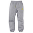 Z8 kids broek Aksel grey melange