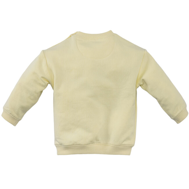 Z8 Newborn sweater Guus  silly citron