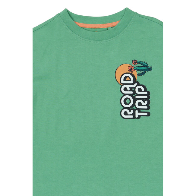 The New shirt Thomas créme de menthe