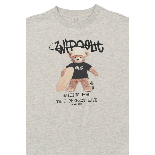 The New shirt Teddy light grey melange