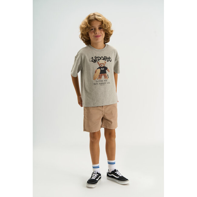 The New shirt Teddy light grey melange