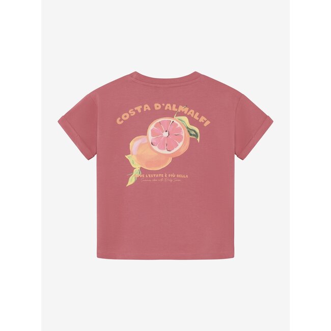 Daily7 t-shirt backprint heather rose