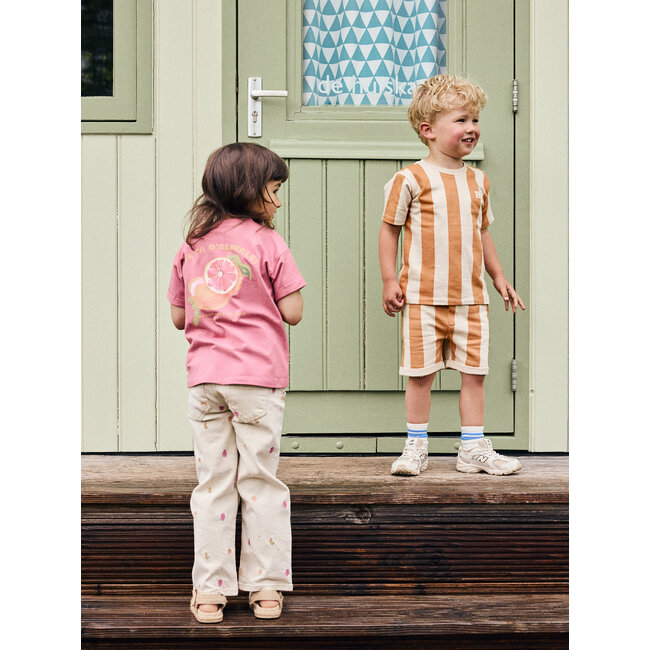 Daily7 t-shirt backprint heather rose