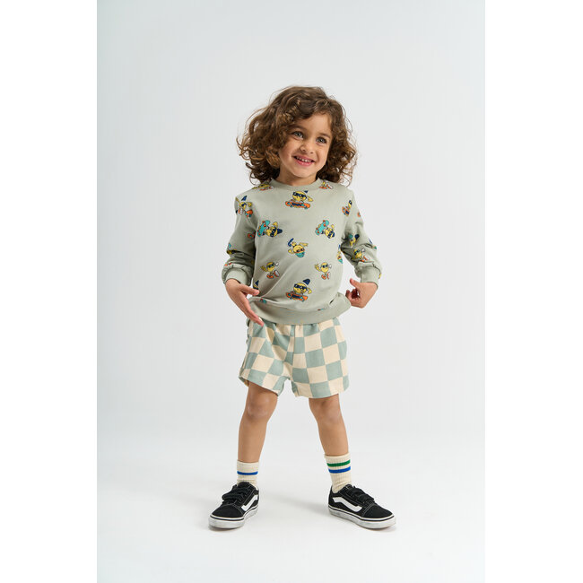 The New Siblings shorts  Sebastiaan aqua gray aop