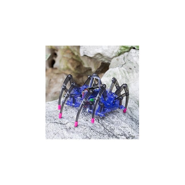 Build your own Robot Spider