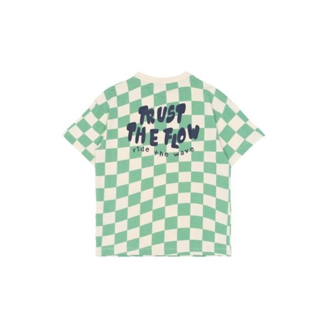 The New shirt Tiago créme de menthe check