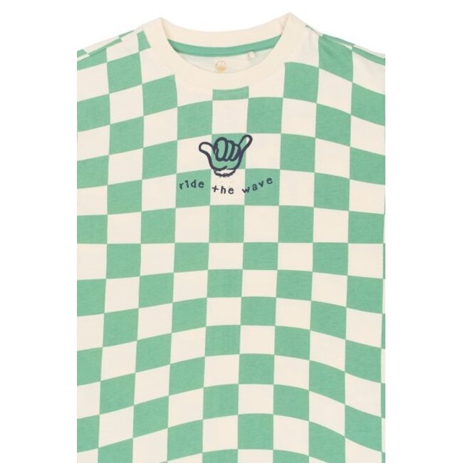 The New shirt Tiago créme de menthe check