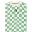 The New shirt Tiago créme de menthe check