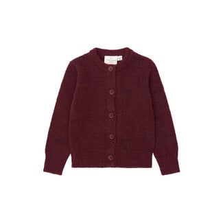 The New Siblings The New Siblings, Vest - Burgundy TN