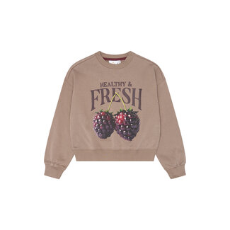 The New The New, Sweatshirt - Taupe Gray TN