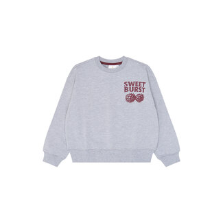 The New The New, Sweatshirt - Light Grey Melange