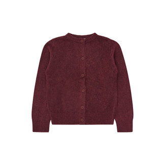 The New The New, vest - Burgundy TN