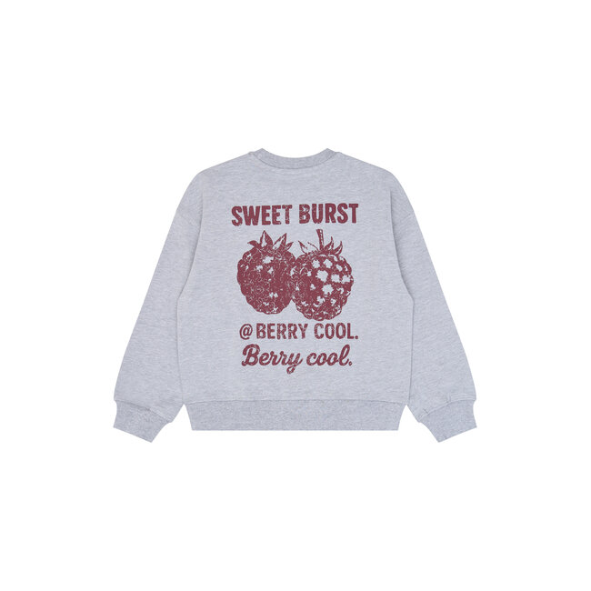 The New, Sweatshirt - Light Grey Melange