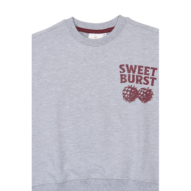 The New, Sweatshirt - Light Grey Melange