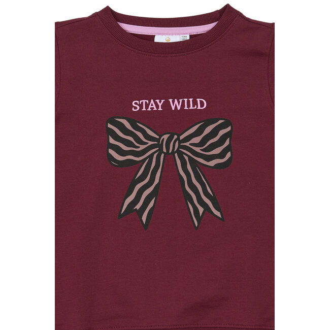 The New, Sweatshirt - Burgundy TN