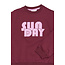 The New, Sweatshirt - Burgundy TN