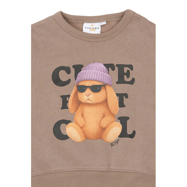 The New Siblings, Sweatshirt - Taupe Gray TN