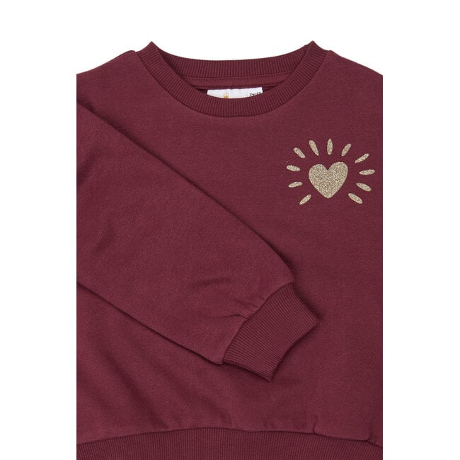 The New Siblings , Sweatshirt - Burgundy TN