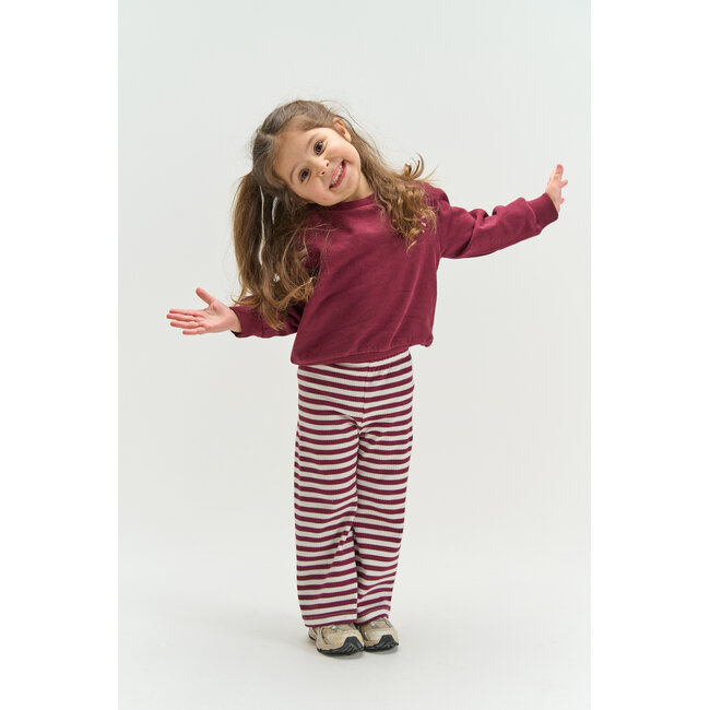 The New Siblings , Sweatshirt - Burgundy TN