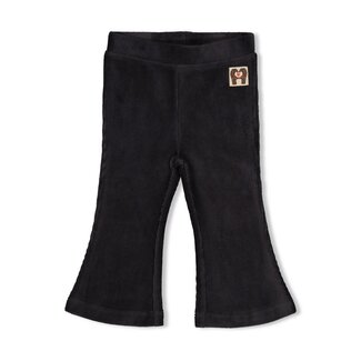 Feetje Feetje , Flare broek velours rib - City Chic - Antraciet