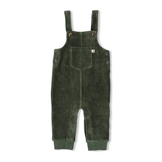 Feetje Feetje , Tuinbroek velours rib - Wiggle and Waddle - Groen