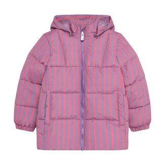 Daily7 Daily7, Winterjacket Striped - Purple, Valerian