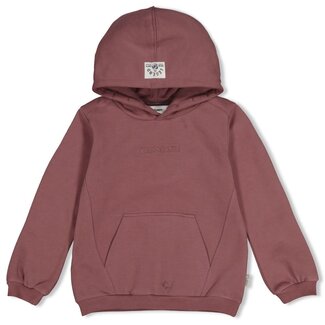 Sturdy Sturdy , Hoody - Rock the Earth - Mauve