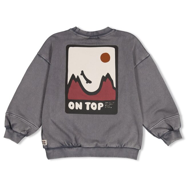 Sturdy , Sweater met backprint oversized - Mountain top - Grijs