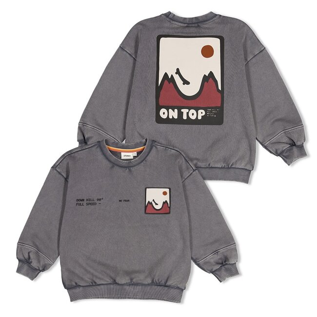 Sturdy , Sweater met backprint oversized - Mountain top - Grijs