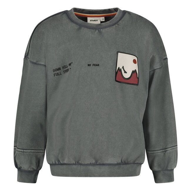 Sturdy , Sweater met backprint oversized - Mountain top - Grijs