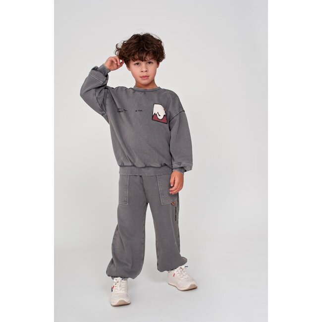 Sturdy , Sweater met backprint oversized - Mountain top - Grijs