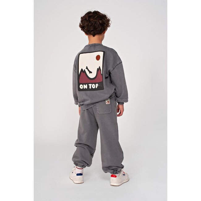 Sturdy , Sweater met backprint oversized - Mountain top - Grijs