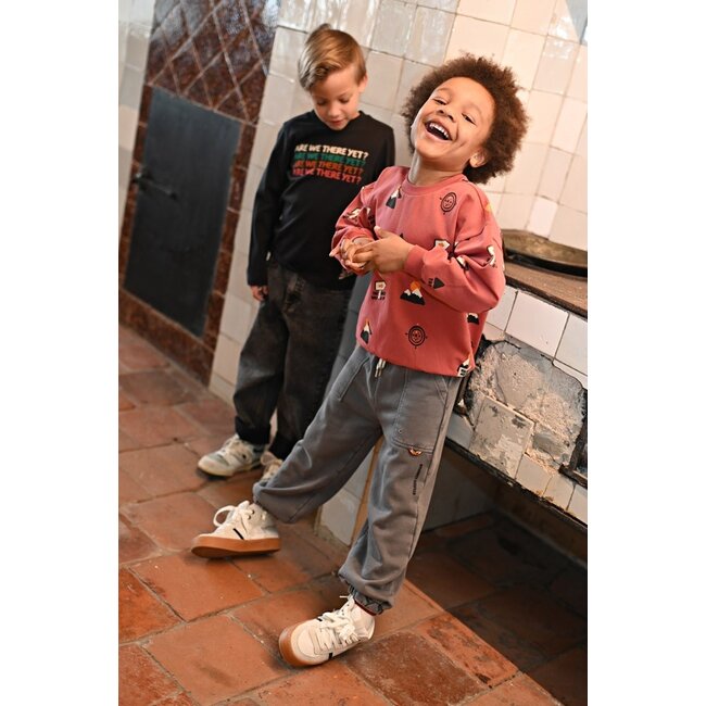 Sturdy , Broek loose fit - Mountain top - Grijs