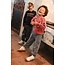 Sturdy , Broek loose fit - Mountain top - Grijs