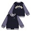 Sturdy , Bomberjack - Rock the Earth - d.Blauw