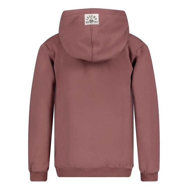 Sturdy , Hoody - Rock the Earth - Mauve