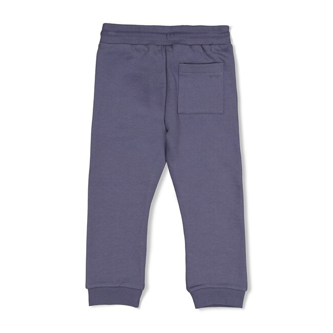 Sturdy , Broek - Rock the Earth - Blauw