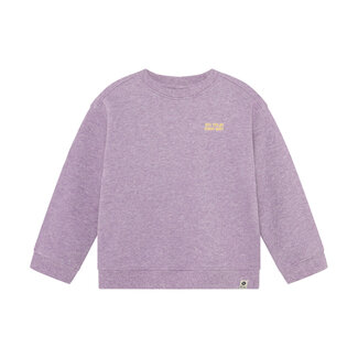 Daily7 Daily7, Oversized Sweater Backprint - Purple, Purple Melange